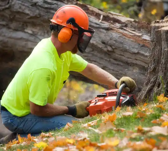 tree services Velva